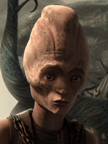 Cam Clarke
